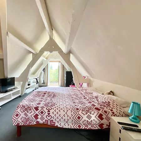 Mas De La Canne Jaune Holiday home *
